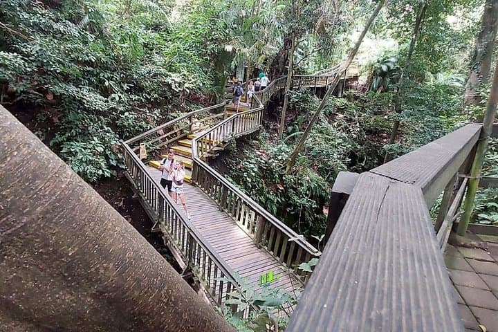 Ayung River Rafting and Ubud Private Day Tour — 10km Whitewater, Monkey Forest & Market photo 3