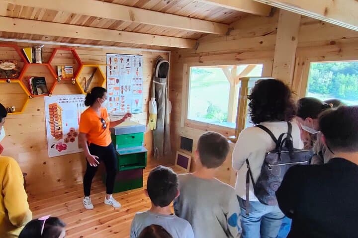 Discovering Bees in Volterra: Apiary Walk, Honey Tasting & Beekeeper Demo photo 5