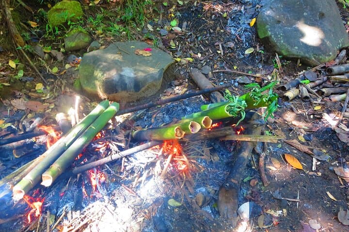 Pamulaklakin Indigenous Forest Experience: Aeta Cultural Day Tour from Manila photo 4