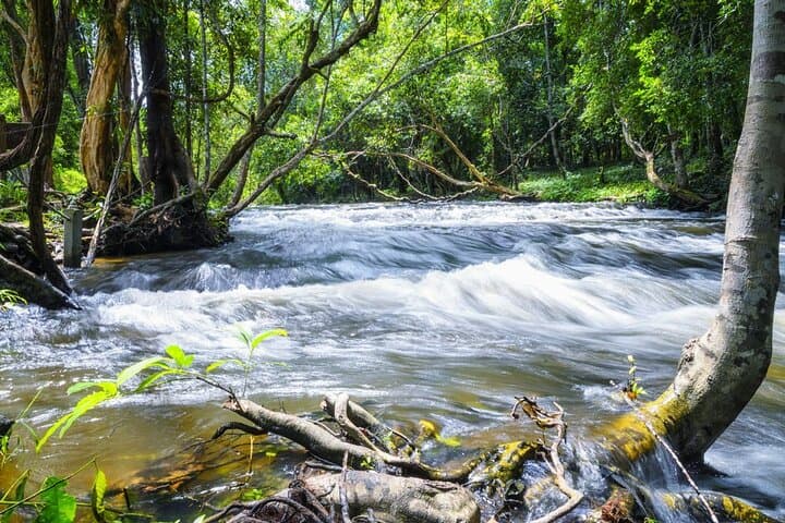 Phnom Kulen Motorcycle & Lost-City Day Tour from Siem Reap photo 3