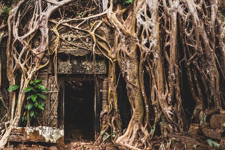 Backroads Cycling the Angkor Temples: Private One-Day Guided Tour from Siem Reap
