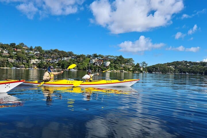 Middle Harbour Deluxe Double Sea Kayak Rental — 1 Hour Self‑Guided Paddle from Mosman photo 2