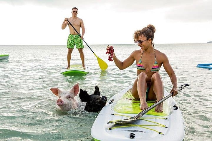 Swimming Pigs & Jeep Beach Day in Nassau — Caves, Adelaide Village & Kayaking