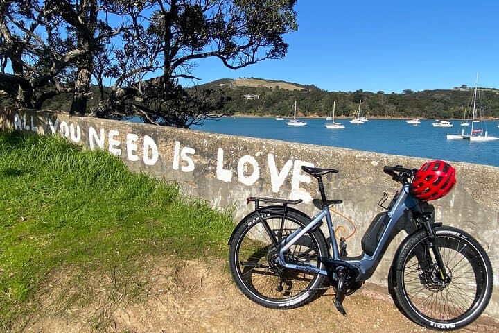 Waiheke Five Bays e-Bike Loop: Self-Guided Electric Ride from Matiatia