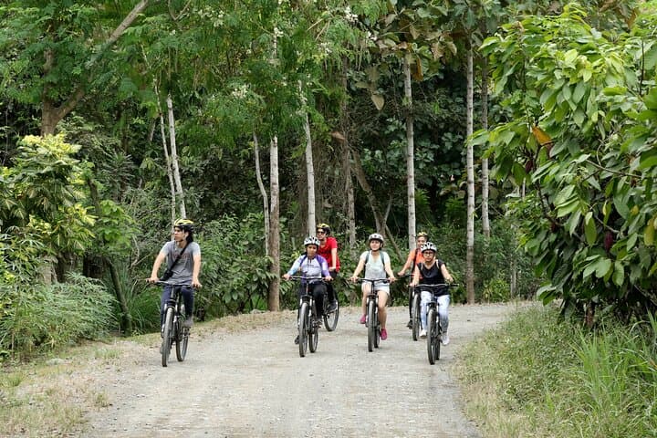 Guayaquil Chocolate Bike Tour: Pedal Through Mangroves and Cocoa Farms photo 2