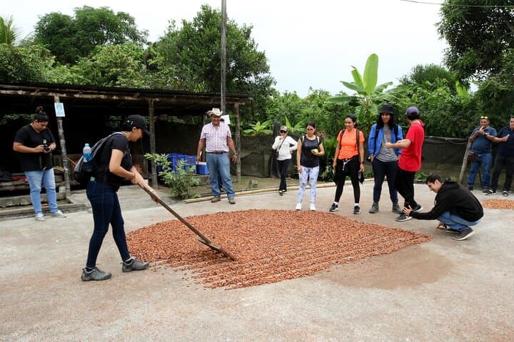 Guayaquil Chocolate Bike Tour: Pedal Through Mangroves and Cocoa Farms photo 3