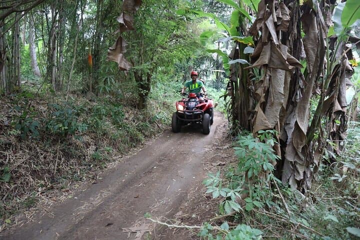 Ayung River Rafting and Ubud ATV Quad Bike Adventure photo 3