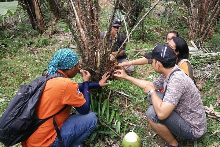 Jeep Tour of Bali’s Salak Plantation and Bukit Surga Viewpoint photo 2