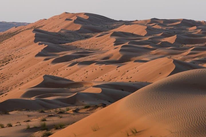 Private Overnight Camping in Wahiba (Wahiba Sands): Desert Adventure from Muscat photo 3