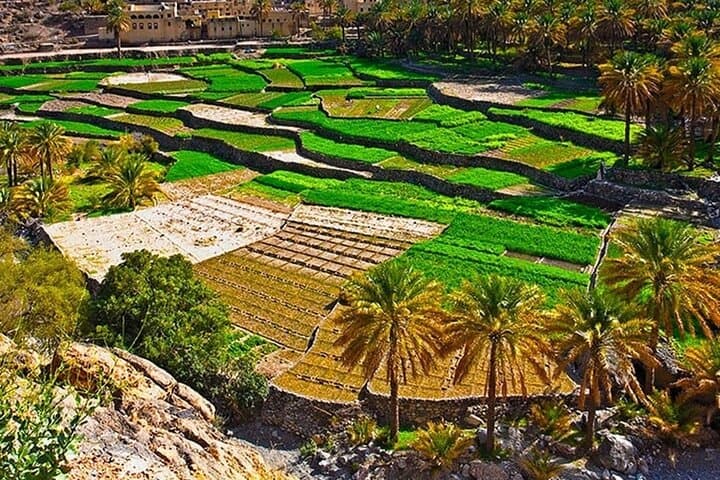 Nakhal Fort, Hot Springs & Wadi Bani Awf: Full-Day 4x4 Adventure from Muscat photo 6