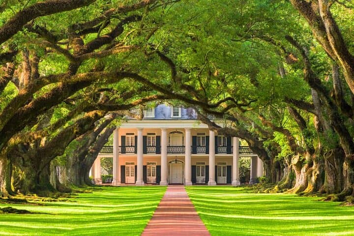 New Orleans Airboat & Oak Alley Plantation Tour: Swamp Thrills and Antebellum History