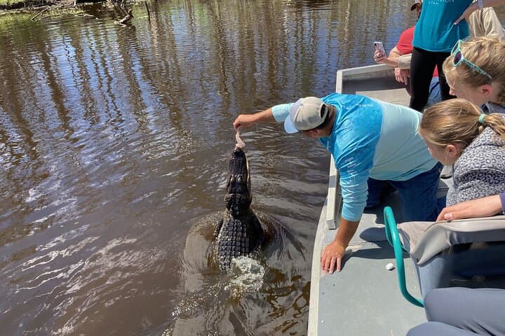 New Orleans Airboat & Oak Alley Plantation Tour: Swamp Thrills and Antebellum History photo 5
