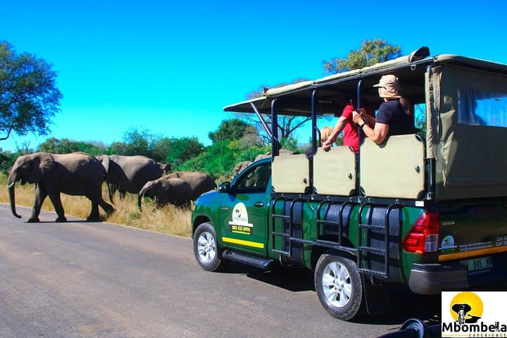Overnight Kruger Safari: Classic Camping at Pretoriuskop