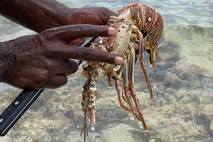 Negril Day Trip from Montego Bay: Booby Cay Lobster Lunch & Rick's Cafe Sunset photo 2