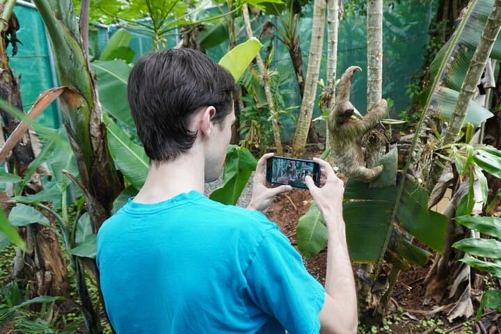 Private Rio Celeste & Llanos del Cortés: Full-Day Rainforest, Waterfalls and Sloth Encounter photo 6