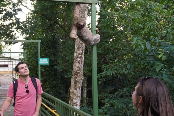 Private Rio Celeste & Llanos del Cortés: Full-Day Rainforest, Waterfalls and Sloth Encounter photo 5
