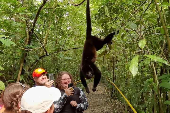 Private Rio Celeste & Llanos del Cortés: Full-Day Rainforest, Waterfalls and Sloth Encounter photo 3