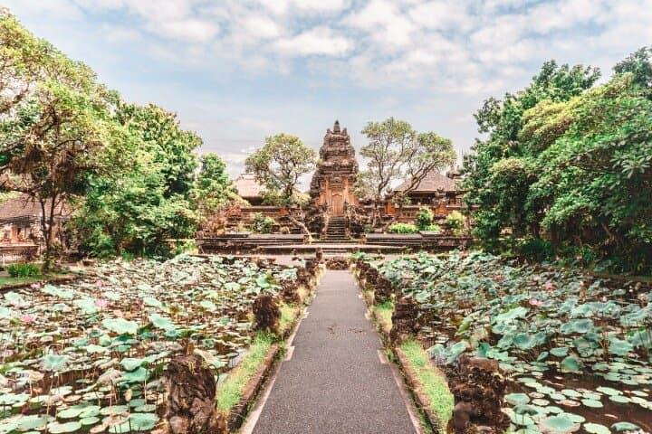 Ubud Private Chauffeur: Custom City Tours & Comfortable Bali Transfers photo 4