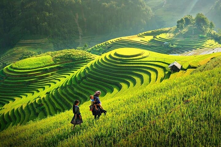 Fansipan Cable Car & Trek: Full-Day Sapa Adventure to Vietnam's Highest Peak photo 3