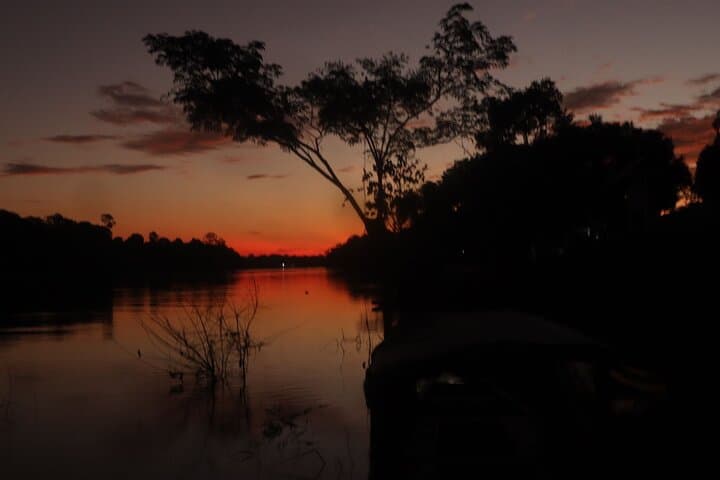 Coya Amazon Jungle Tour: 4-Day Immersive Leticia Jungle Experience photo 3