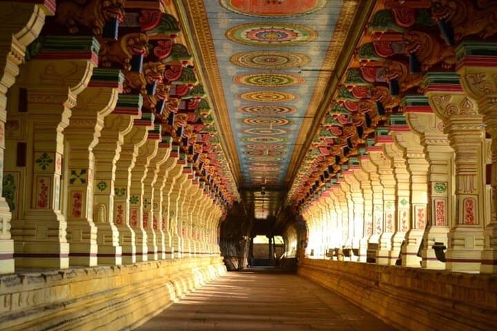 7-Day Kerala Circuit: Kochi, Munnar, Thekkady & Alleppey Houseboat photo 5