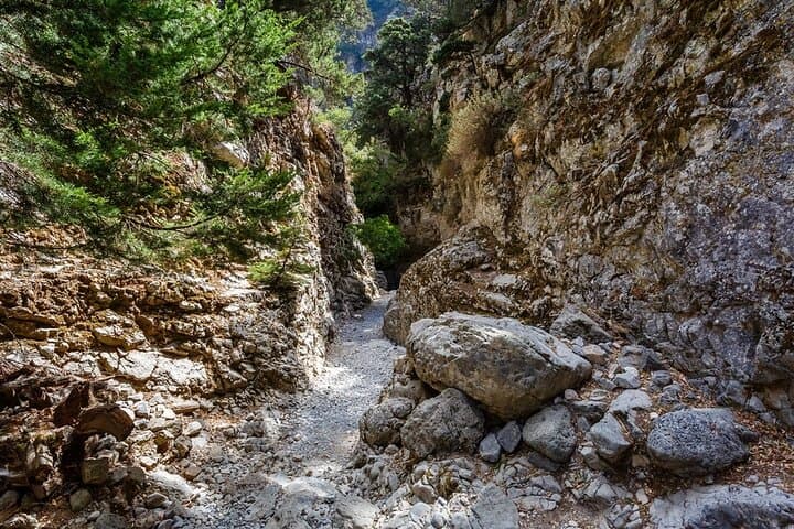 Sfakia Private Escape: Imbros Gorge Hike, War Museum & Iligas Beach photo 6