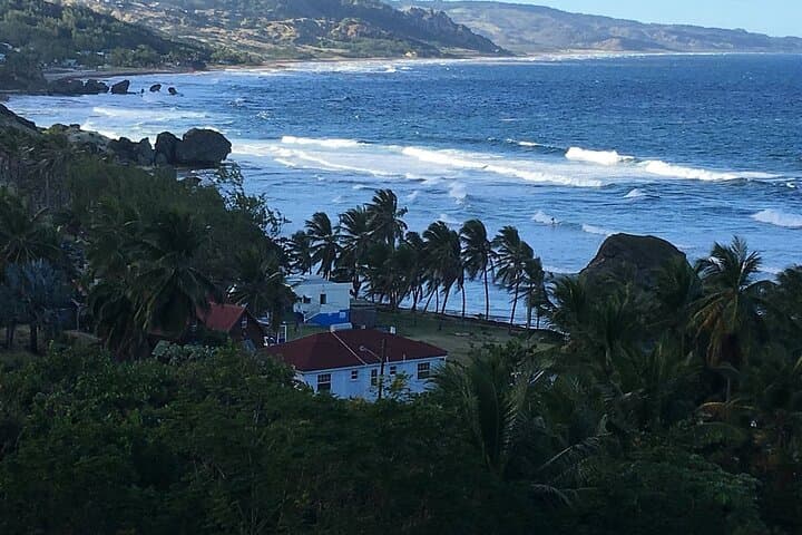 Panoramic Coastal Barbados Tour: Bridgetown to Bathsheba in 4 Hours photo 5