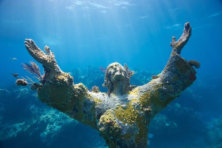 Snorkel John Pennekamp: Two-Shallow-Reef Tour on a 51' Catamaran photo 4