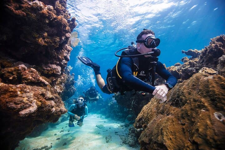 Snorkel John Pennekamp: Two-Shallow-Reef Tour on a 51' Catamaran photo 3
