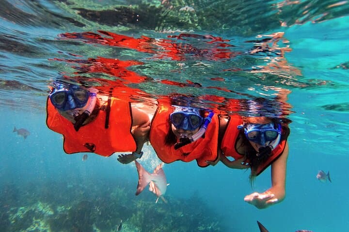 Snorkel John Pennekamp: Two-Shallow-Reef Tour on a 51' Catamaran photo 2
