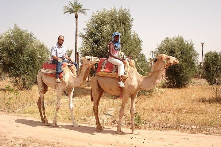 Palmeraie Camel Ride: 1-Hour Camel Trek from Marrakech with Mint Tea photo 2