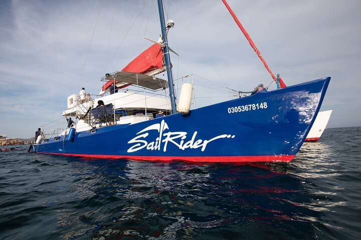 Sail and Snorkel Cabo San Lucas on a Solar-Powered Catamaran photo 2