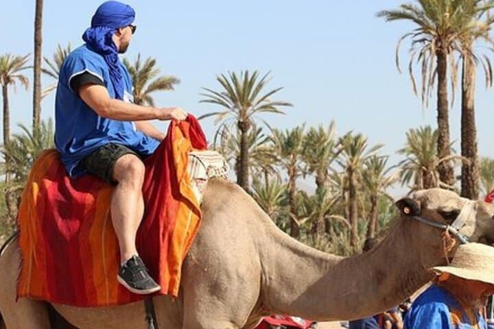 Palmeraie Camel Ride: 1-Hour Camel Trek from Marrakech with Mint Tea photo 6