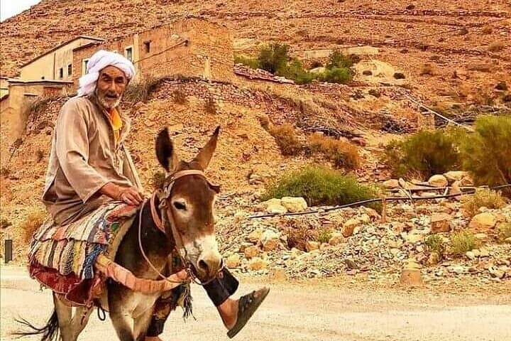 Unveiling Taroudant and Tiout: A Day's Journey in the Souss Valley