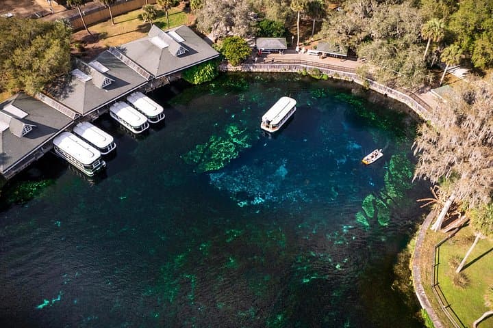Silver Springs Clear Kayak Wildlife Adventure — Manatees, Monkeys & Crystal Waters photo 3