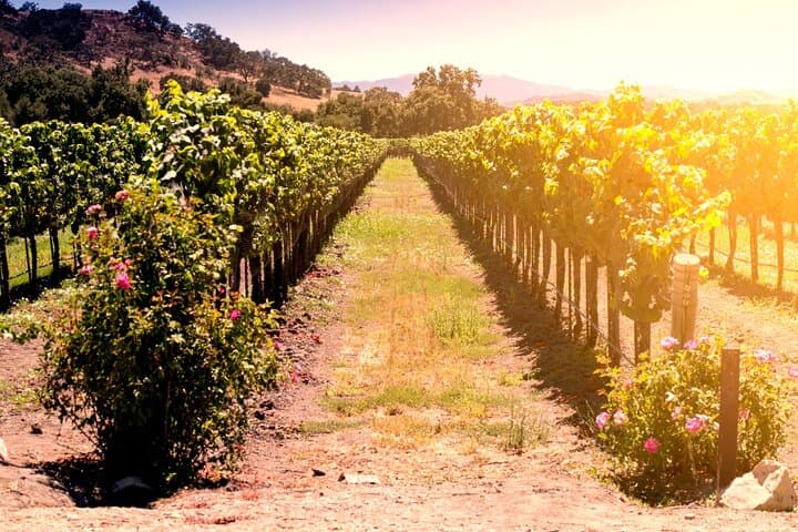 Taormina and Mount Etna Winery Day Trip from Messina: Private Tour & Tasting photo 2