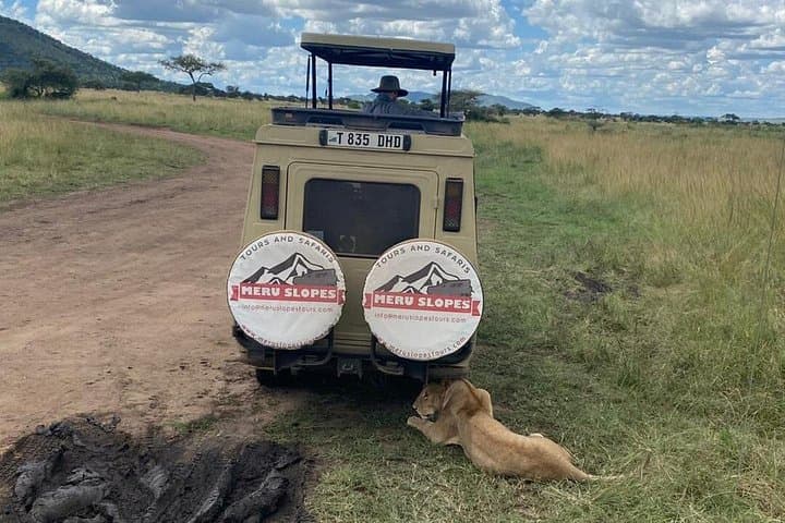 4-Day Tarangire, Serengeti & Ngorongoro Guided Safari — Camping Group Tour photo 2