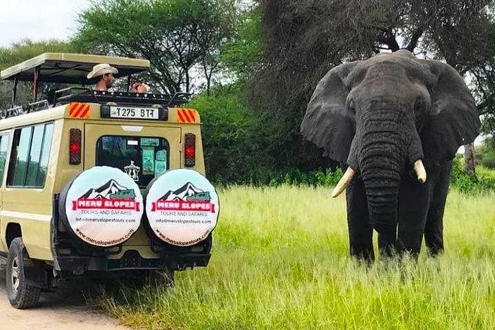 Five-Day Camping Safari: Tarangire, Serengeti & Ngorongoro with Maasai Visit photo 3