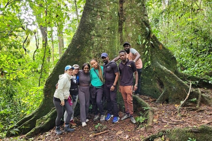 Full-Day Jinja Sightseeing Trip: Source of the Nile Boat Cruise & Mabira Forest Walk photo 2