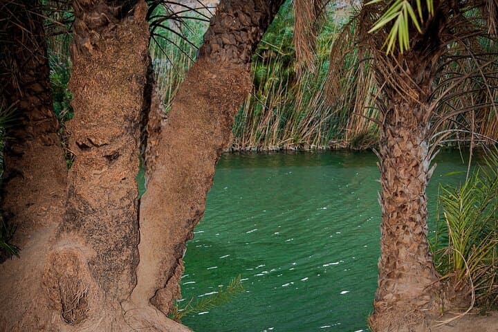 Preveli Beach & Palm Forest Day Trip from Heraklion — Tropical Palm Beach Guide photo 6
