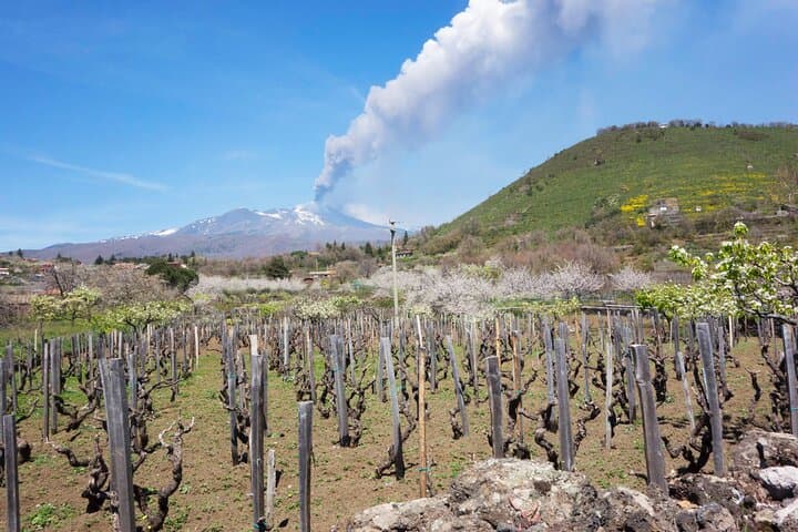 Private Etna Volcano Tour from Messina with Winery Lunch photo 4