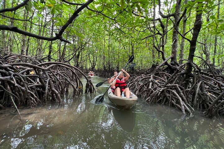 Half-Day Mangrove Kayaking in Langkawi — Paddle the Kilim Mangroves