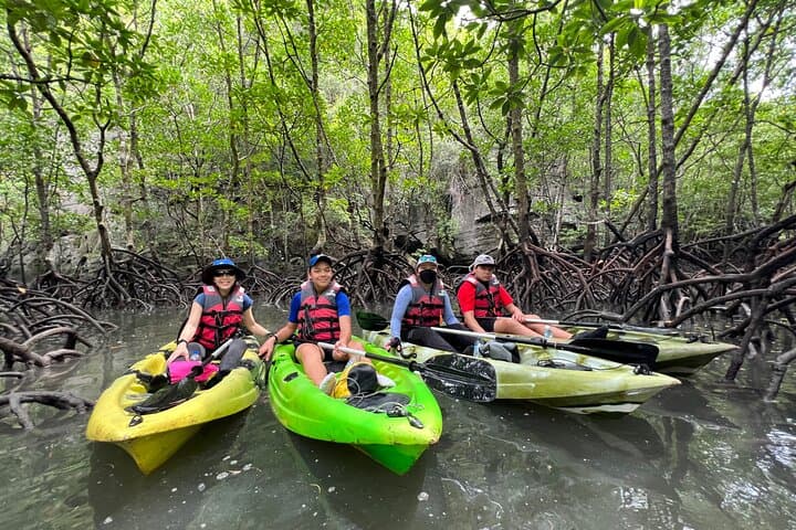 Half-Day Mangrove Kayaking in Langkawi — Paddle the Kilim Mangroves photo 3