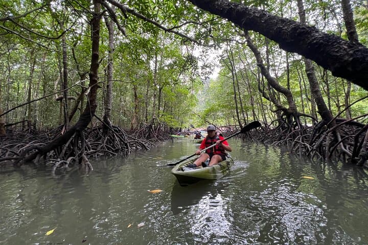 Half-Day Mangrove Kayaking in Langkawi — Paddle the Kilim Mangroves photo 4