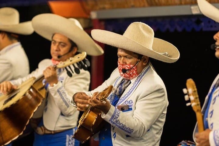 Night at Xoximilco Cancun: Mariachi, Trajineras & Canal Party Experience photo 3