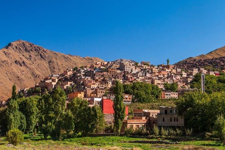 Marrakech to Agafay: Full-Day Atlas Mountains & Desert Experience photo 3