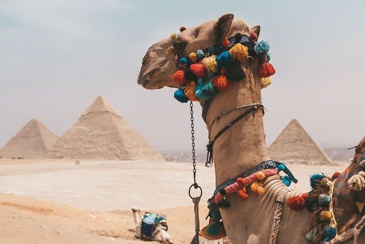 Full-Day Private Tour to the Great Pyramids and Egyptian Museum photo 2