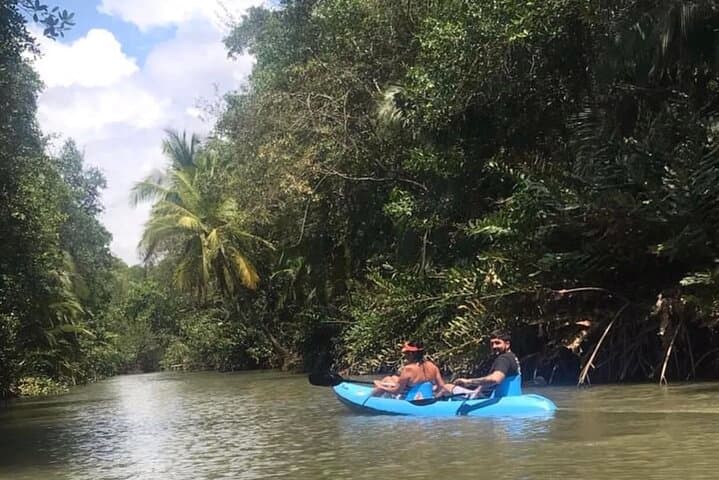 Close-Up Monkey Kayak Tour — 2-Hour Mangrove & Wildlife Paddle in Quepos photo 5