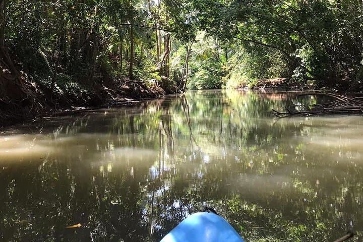 Close-Up Monkey Kayak Tour — 2-Hour Mangrove & Wildlife Paddle in Quepos photo 6