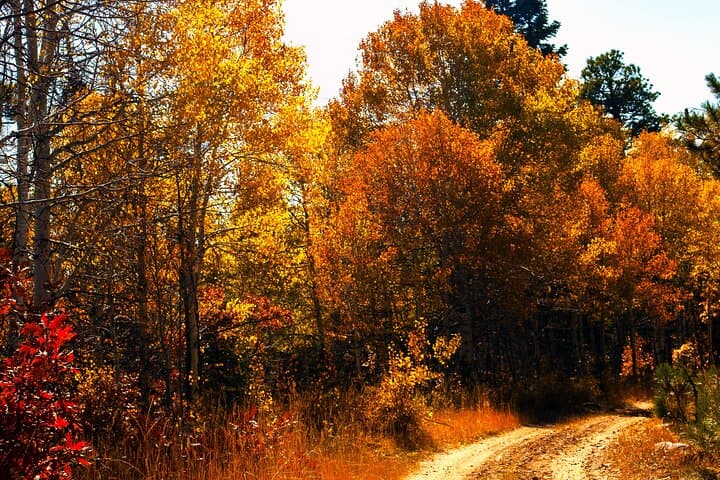 Denver to Estes Park Peak-to-Peak Fall Color Tour — Scenic Byway Drive & Rocky Mountain Views photo 3